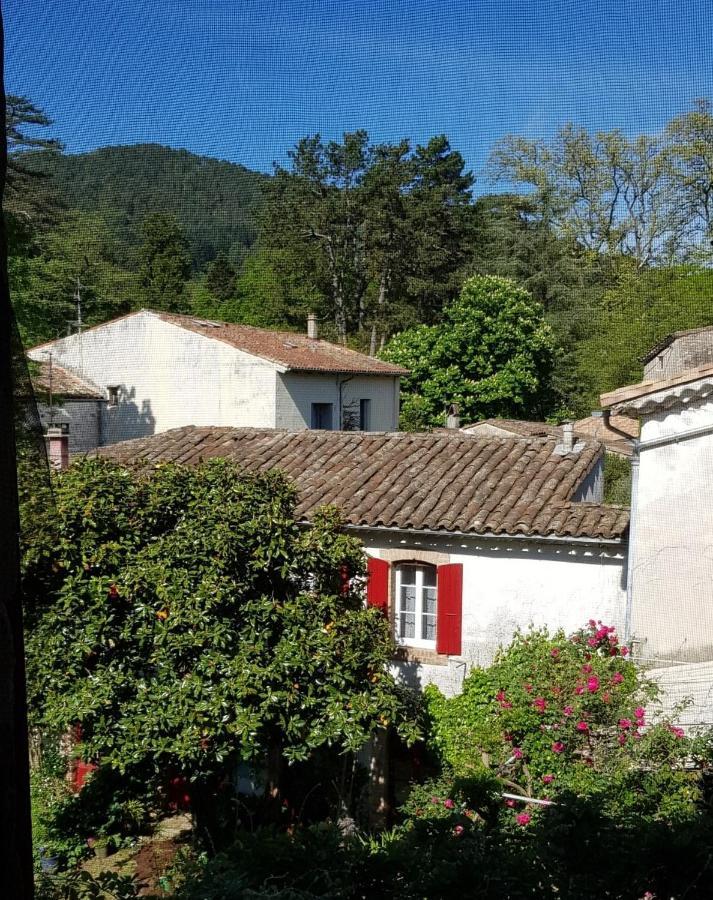 Vista Cevenol: Appartement 2 Chambres Saint-Jean-du-Gard Dış mekan fotoğraf