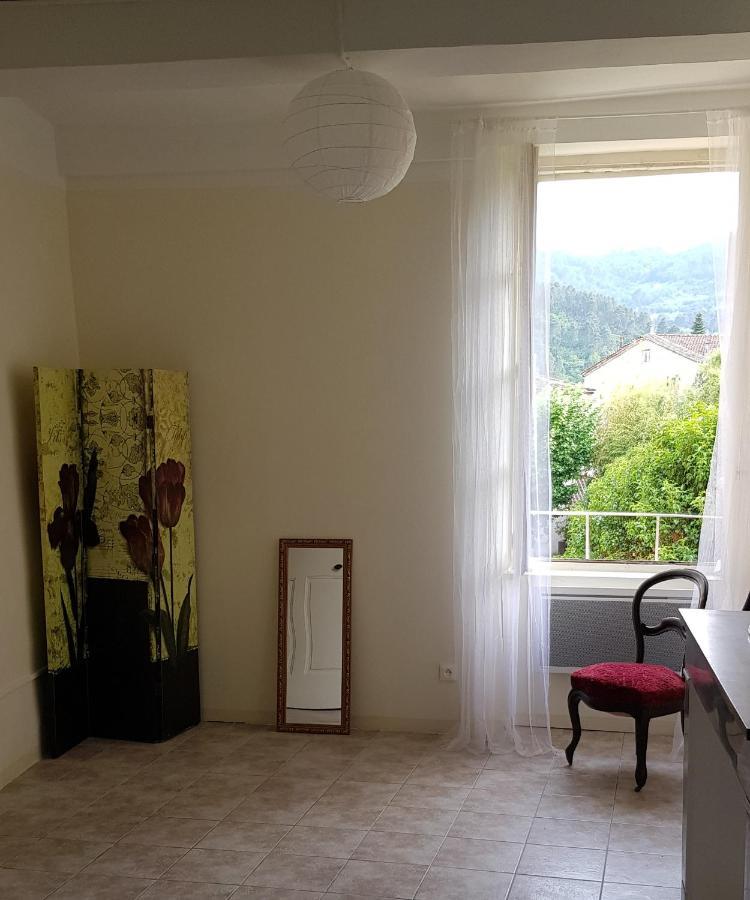 Vista Cevenol: Appartement 2 Chambres Saint-Jean-du-Gard Dış mekan fotoğraf